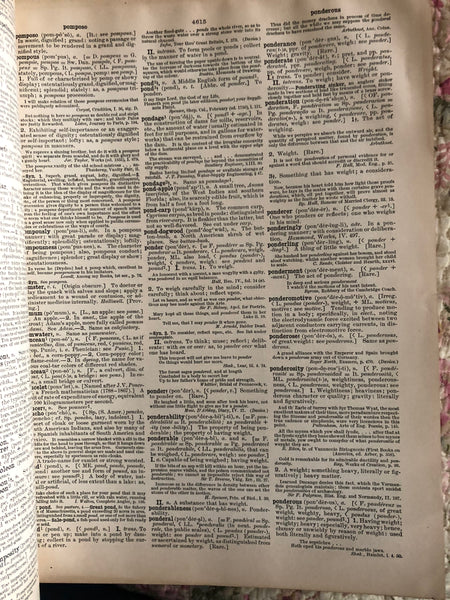 1895 Partial Antique Dictionary